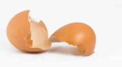 Ako dať svoje uši šteňa